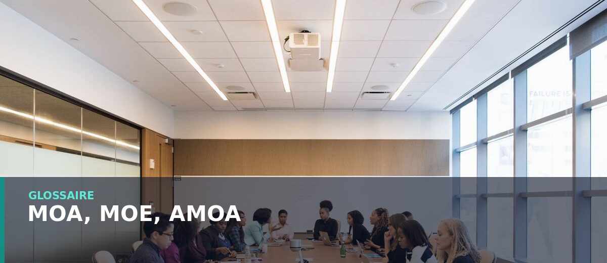 Rôles MOA, MOE et AMOA dans un projet digital